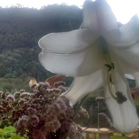 Morada Rancho Da Lua Bed & Breakfast Monte Verde  Luaran gambar